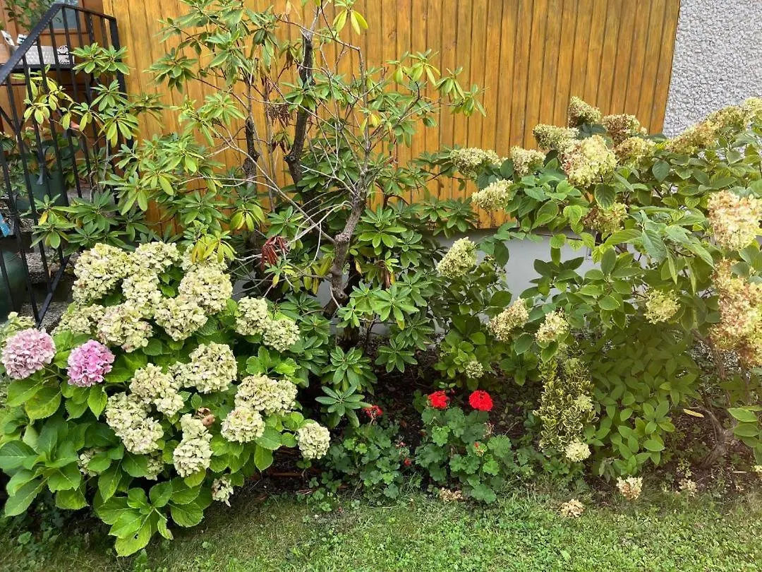 Bed & Breakfast Marinela'S Bnb Vienna Austria